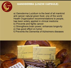 Ganoderma